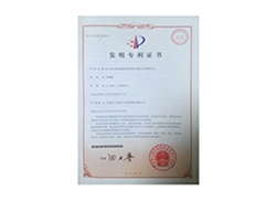 Patent Certificate 1