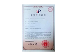 Patent Certificate 3